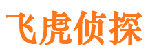 江川市私家侦探